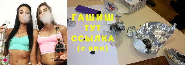шишки Абаза