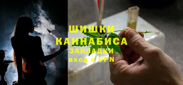 шишки Абаза