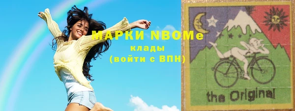 шишки Абаза