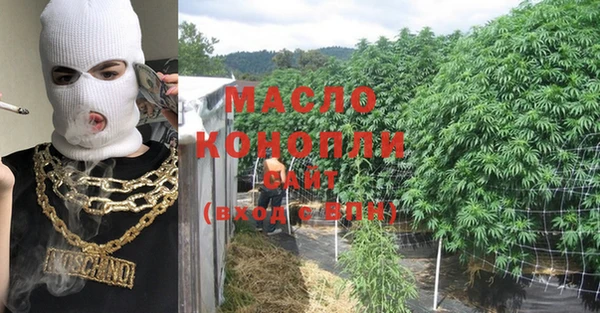 шишки Абаза