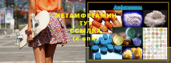 шишки Абаза