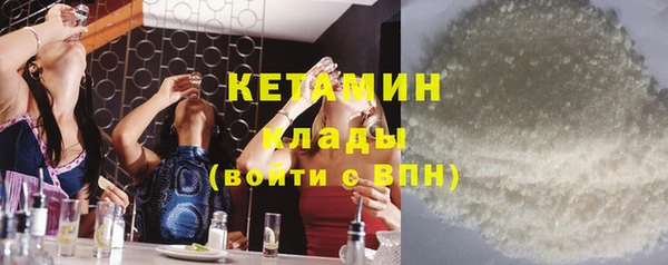 шишки Абаза