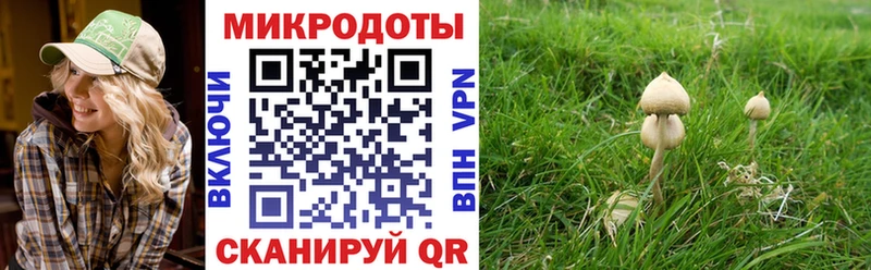 Псилоцибиновые грибы MAGIC MUSHROOMS Тейково